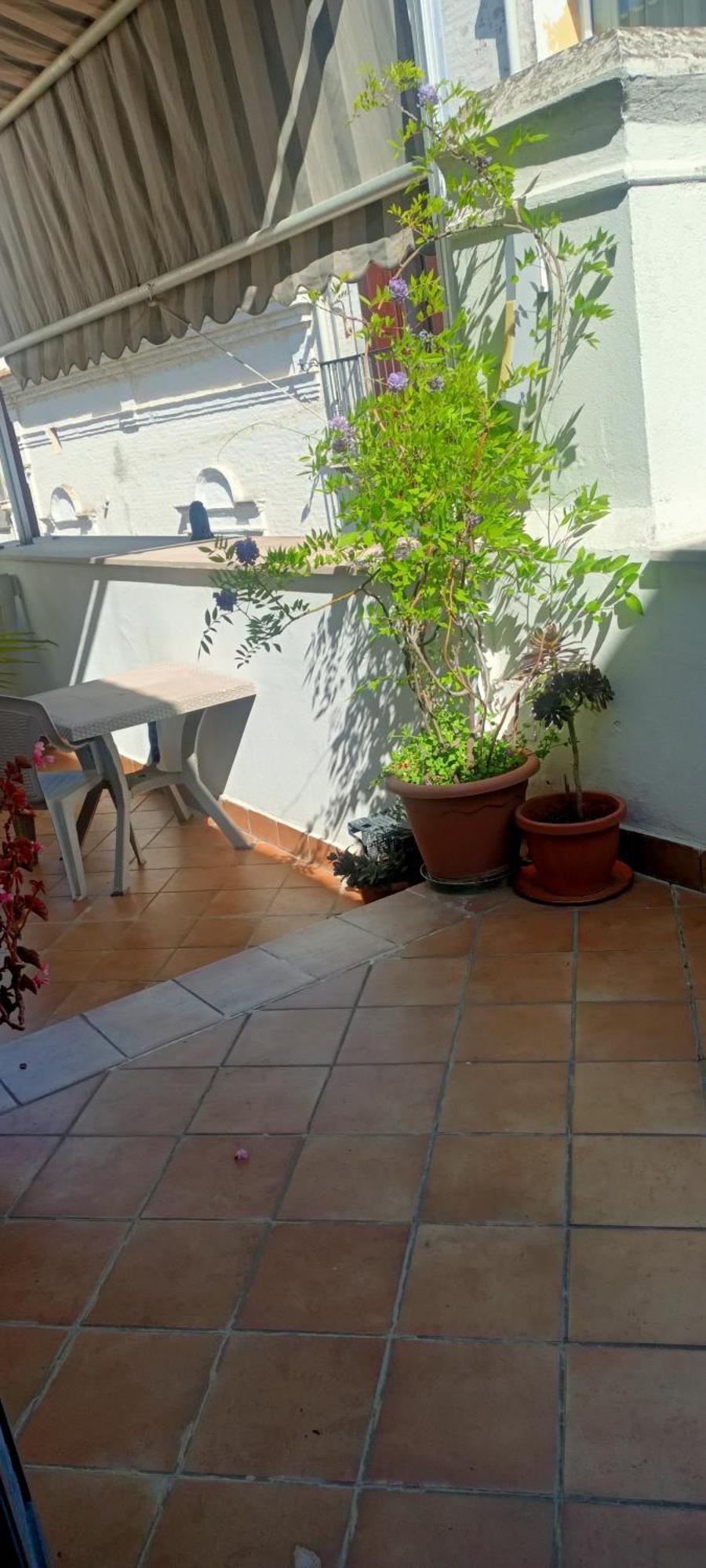 Il Nuovo Bed & Breakfast San Severo Rom bilde